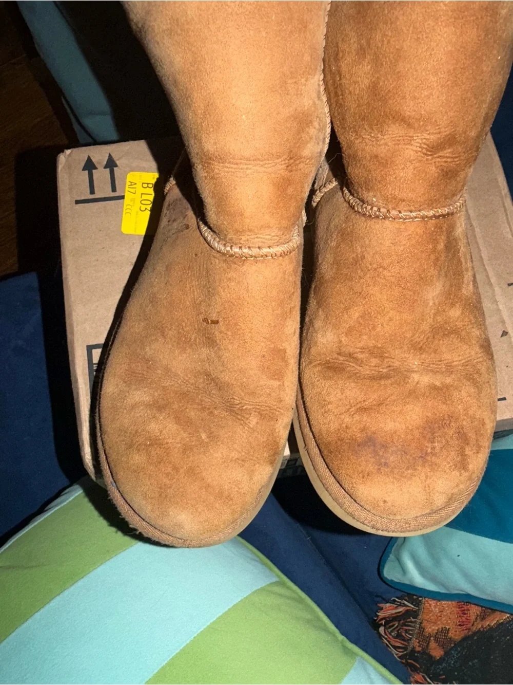 Classic Ugg Boots